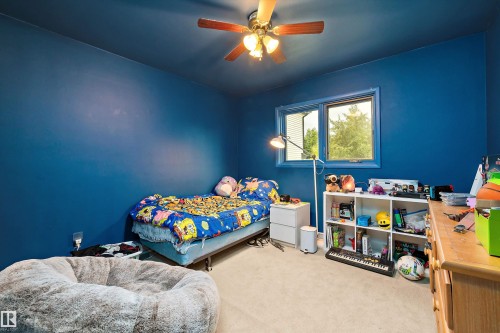 Window with exterior scenery, carpeted flooring, and a ceiling fan - 10621 60A Avenue Nw, Edmonton, AB 