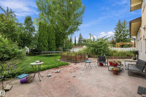 Expansive concrete patio with direct access to a grassy yard, surrounded by mature trees and varied plantings - 10621 60A Avenue Nw, Edmonton, AB 
