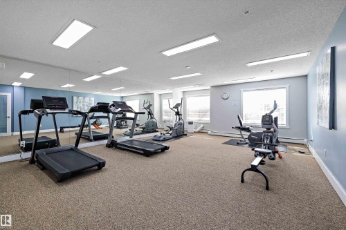 Dedicated fitness room featuring wall-to-wall carpeting and mirrored wall panels - #353 2096 Blackmud Creek Dr Sw, Edmonton, AB - Indoor Photo Showing Gym Room