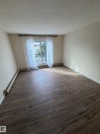 Spacious room with wood-finish flooring and neutral wall tones - 