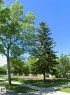 Expansive lot featuring mature trees and a clear buildable area - 10404 113 Avenue Nw, Edmonton, AB 