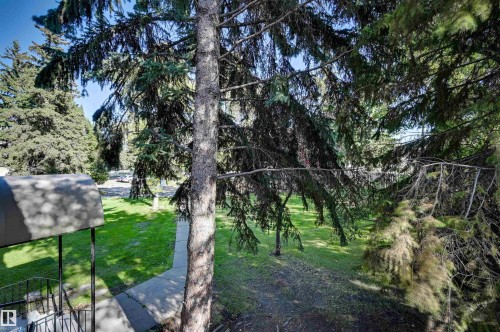Additional content - #203 24 Alpine Pl, St. Albert, AB 