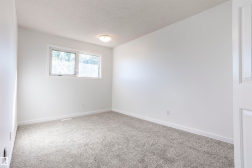 Neutral white wall finishes, gray carpeting, and a flush-mount ceiling light fixture - 17927 80 Avenue Nw, Edmonton, AB 