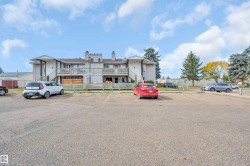 Paved parking lot with designated spaces, featuring mature evergreen trees and deciduous trees - 