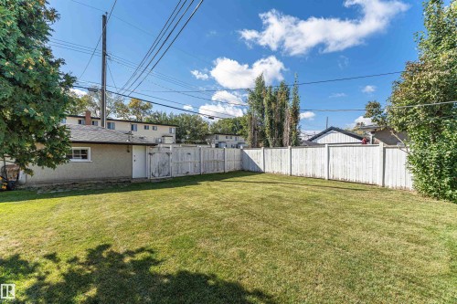 Expansive grass lawn with a full perimeter fence - 8743 Strathearn Drive Nw, Edmonton, AB 