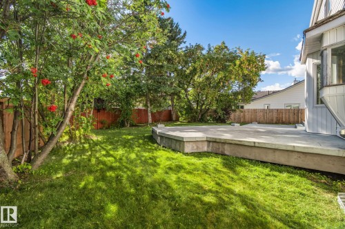 Expansive green lawn, elevated concrete patio, mature trees, wood fence, and bay window - 12403 29A Avenue Nw, Edmonton, AB 