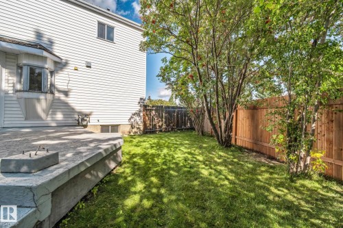 Expansive green lawn, mature trees, wood fence, white siding, and a concrete patio - 12403 29A Avenue Nw, Edmonton, AB 