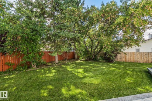 Expansive green lawn surrounded by mature trees, featuring a combination of wood fences - 12403 29A Avenue Nw, Edmonton, AB 