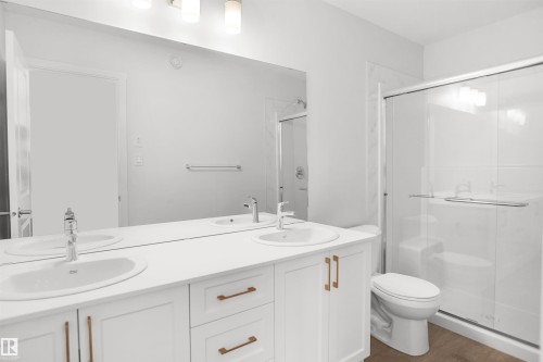 21354 128A Avenue Nw, Edmonton, AB - Indoor Photo Showing Bathroom