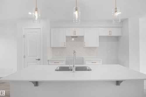 21354 128A Avenue Nw, Edmonton, AB - Indoor Photo Showing Kitchen With Upgraded Kitchen