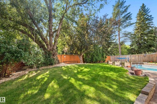 Expansive green lawn with mature trees, surrounded by a wood fence, featuring a swimming pool and a paver stone patio - 14103 60 Avenue Nw, Edmonton, AB 
