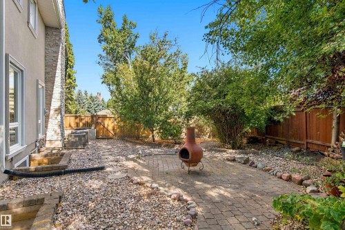 Private backyard featuring a paved patio area, mature trees, and a wood privacy fence - 14103 60 Avenue Nw, Edmonton, AB 