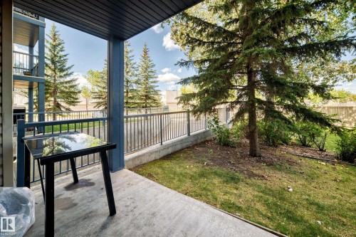 Ground-level concrete patio with dark railing, mature trees, and a grassy area - #133 16311 95 St Nw, Edmonton, AB 