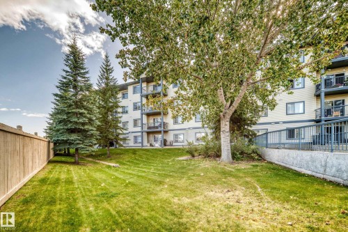 Expansive green space featuring mature trees and a wooden privacy fence - #133 16311 95 St Nw, Edmonton, AB 