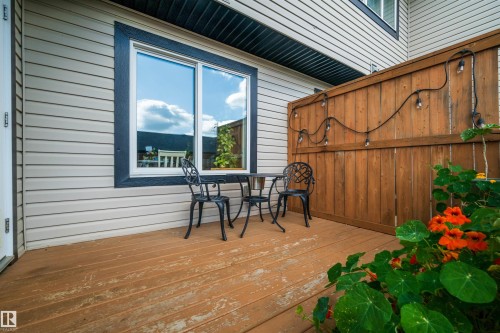 4478 Annett Common Sw, Edmonton, AB 