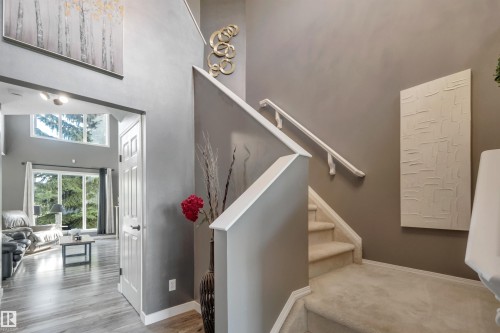 Carpeted staircase with white handrail, leading to an arched entryway with wood-finish flooring - #13 6608 158 Av Nw, Edmonton, AB 