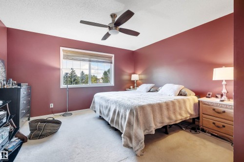 Ceiling fan with integrated lighting - #13 6608 158 Av Nw, Edmonton, AB 
