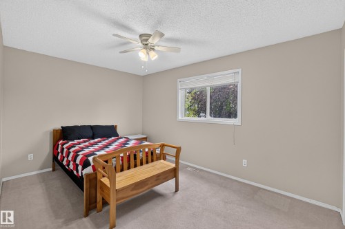 Neutral wall tones, ceiling fan with light fixture, carpeted flooring, and a large window with blinds - 365 Hollick-Kenyon Road Nw, Edmonton, AB 
