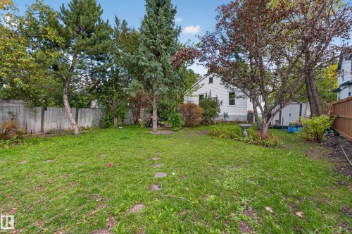 Expansive lawn with mature trees and a privacy fence - 11308 123 Street Nw, Edmonton, AB 