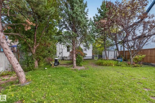 Expansive green space with mature trees and a storage shed - 11308 123 Street Nw, Edmonton, AB 