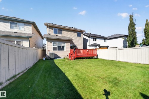 Expansive green lawn with a red-stained wooden deck and light-colored fencing - 121 64 Street Sw, Edmonton, AB 