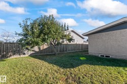 Expansive backyard with a manicured lawn, established tree, and full perimeter wood fence - 