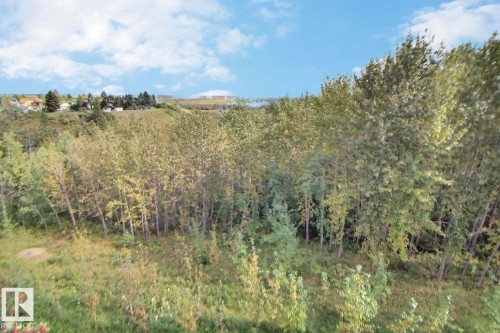 Expansive treed landscape with a sloping terrain - #421 592 Hooke Rd Nw, Edmonton, AB 