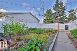 Raised garden beds with various plantings, a concrete pathway, a white vinyl fence, and a gravel area - 