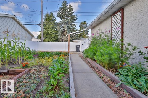 Poured concrete walkway with adjacent garden beds featuring various plantings - 13312 123A Street Nw, Edmonton, AB 