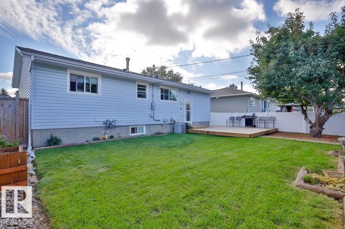 Expansive backyard featuring a manicured lawn, a raised wooden deck, a mature tree, and a white privacy fence - 13312 123A Street Nw, Edmonton, AB 