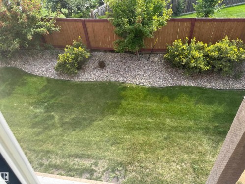 Expansive lawn area, decorative gravel landscaping, mature trees, and a privacy fence - #229 2305 35A Av Nw, Edmonton, AB 