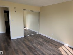 Wood-finish flooring with light-toned walls and mirrored closet doors - 