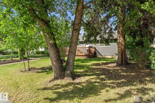 Exterior featuring a wood deck, dark gray siding, and a white entrance door - 6108 102 Avenue Nw, Edmonton, AB 