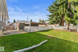 Expansive backyard with a green lawn, concrete patio, a detached detached single garage, single covered carport, chain-link fencing, and mature trees - 