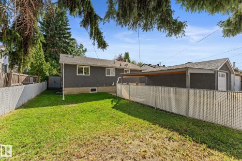 Expansive rear yard with chain-link fencing - 6108 102 Avenue Nw, Edmonton, AB 