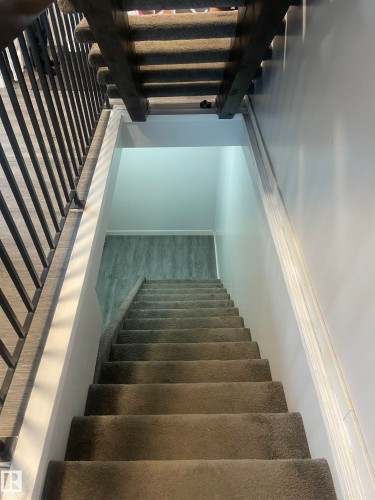 Staircase with carpeted treads and risers, featuring a black metal railing and white trim - 3221 132A Avenue Nw, Edmonton, AB 