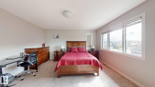Wall-to-wall carpeting and a multi-pane window with roller shades - 22407 99 Avenue Nw, Edmonton, AB 
