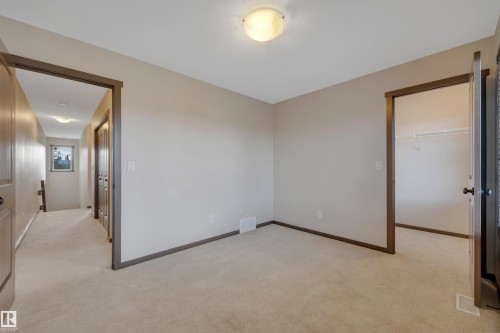 Neutral wall colors, carpet flooring, a flush mount ceiling light, and a walk-in closet with shelving - 12903 205 Street Nw, Edmonton, AB 