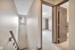 Carpeted hallway with painted trim and doors - 