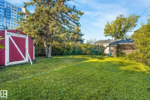 Expansive green space featuring a red barn-style shed, mature trees, and established perimeter shrubbery - 11507 135 Street Nw, Edmonton, AB 