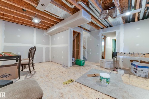 1030 177A Street Nw, Edmonton, AB - Indoor Photo Showing Basement