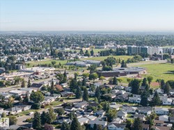 Expansive suburban landscape with varied residential architecture, established tree canopy, and recreational green spaces - 