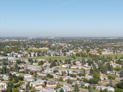 Expansive urban landscape with extensive tree cover and varied residential architecture - 