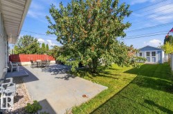 Expansive backyard featuring a concrete patio, mature shade tree, and a light blue shed with white trim - 