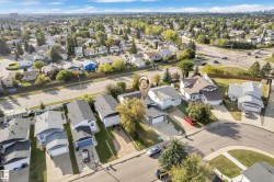 Residential neighborhood with established properties and mature trees - 