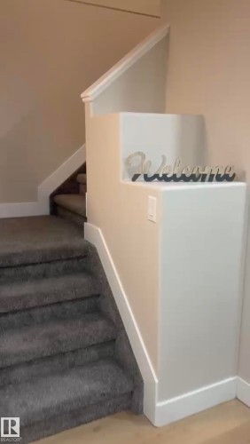 Carpeted staircase with white painted risers and a partial knee wall with a white trim - 3830 22 Street Nw, Edmonton, AB 