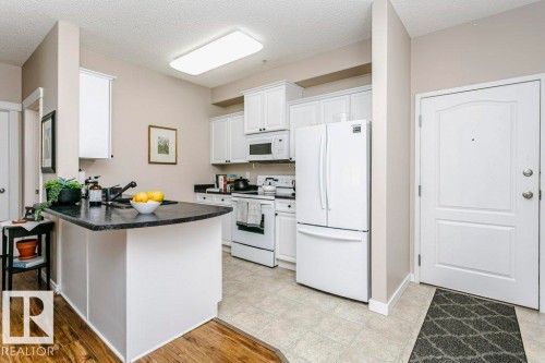 #323 16807 100 Av Nw, Edmonton, AB 