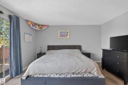 Sliding glass door, light gray walls, textured ceiling, and carpeted flooring - 