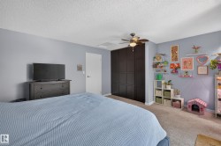 Integrated ceiling fan with light fixture, wall-to-wall carpeting, and a built-in wardrobe with dark paneling - 