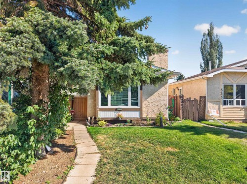 Stucco exterior featuring a large front window, mature evergreen trees, and a stone-paver walkway - 333 Kirkpatrick Crescent Nw, Edmonton, AB 